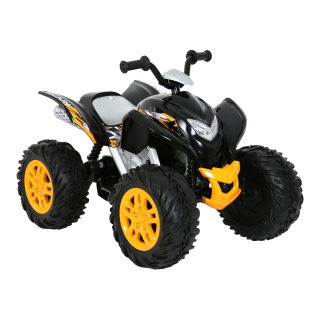 rollplay 12v storm utv